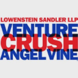 AngelVineVC logo
