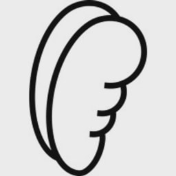 Angyal SAS logo