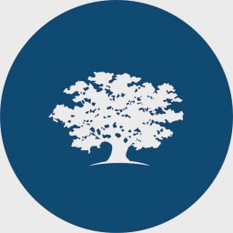 Ashoka logo