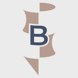 B-FLEXION logo