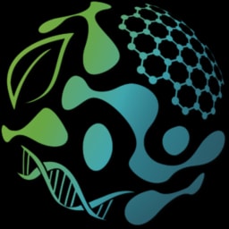 b.value logo