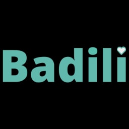 Badili logo