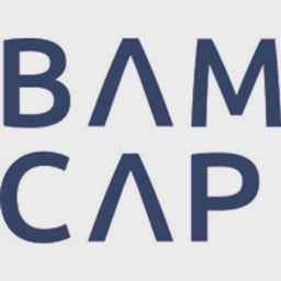 BetaAngels logo