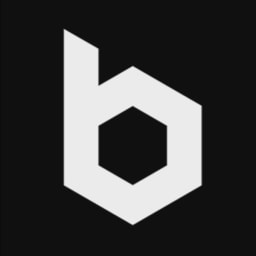 biddz logo
