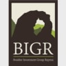 BIGR Ventures logo