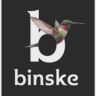 Binske logo