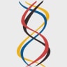 Bio + Health logo