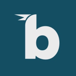 Birdie.ai logo