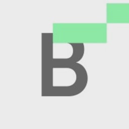 Bitskout logo