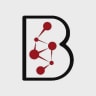 BKR Capital logo