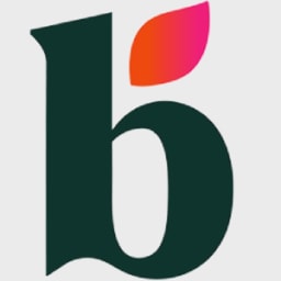 Bloom Money logo