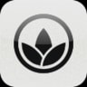 Blossom logo