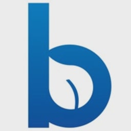 Blueleaf.com logo