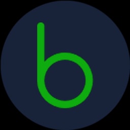 bodo.ai logo