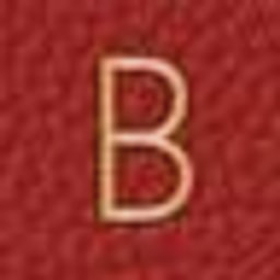 BonaVentura logo