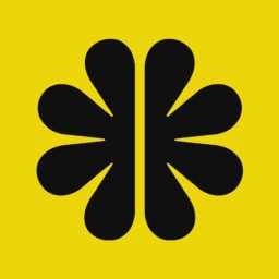 BrainCheck logo