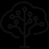 Brainforest logo