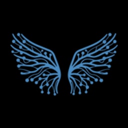 Braingels logo