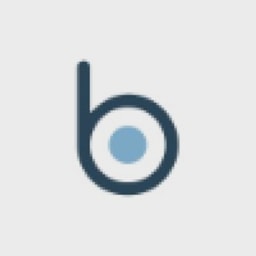Bringhub logo