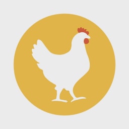 BroilerX logo