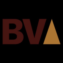 Bronze Valley logo