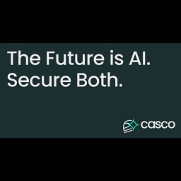 Casco logo