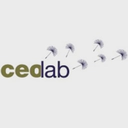 CEOlab logo