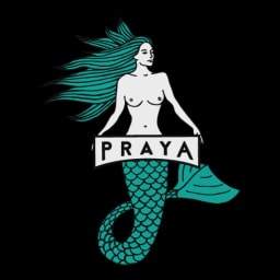 Cerveja Praya logo