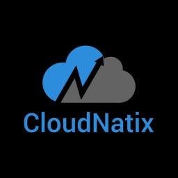 CloudNatix logo