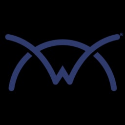 Connect logo