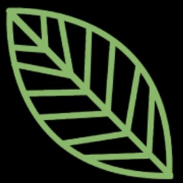 Cure8 logo
