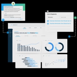 Dataships logo