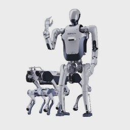 Deep Robotics logo