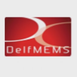 Delfmems logo