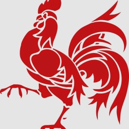 DGO6 logo