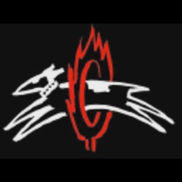 Digiscope logo