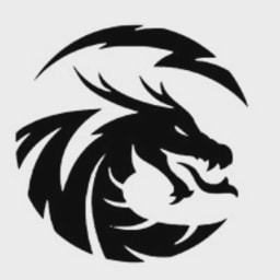 Dragones VC logo