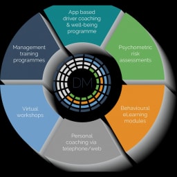 DriverMetrics logo