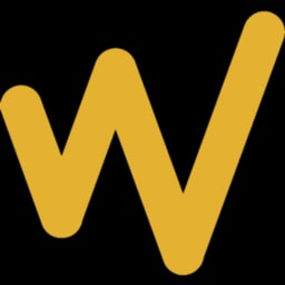 DriveWealth logo