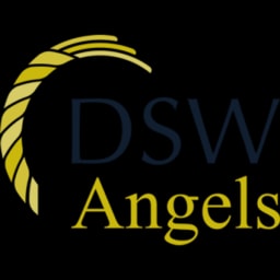 DSW Ventures logo