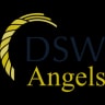 DSW Ventures logo