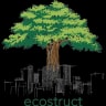 EcoStruct logo