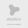 Elastica logo