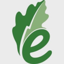 enadyne logo