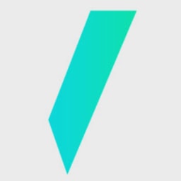 Evervest logo