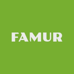 FAMUR GROUP logo