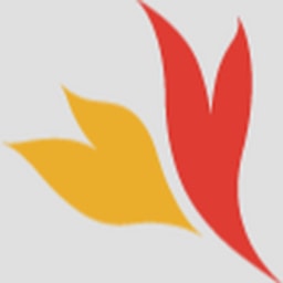 FireID logo