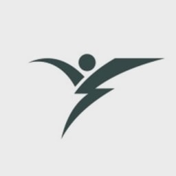 Go28, Inc. logo