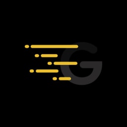 GoFlyy logo