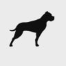 GP Bullhound logo